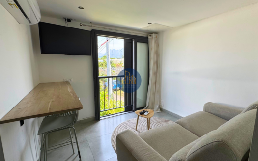À LOUER – APPARTEMENT T1 BIS MEUBLE A LA RAVINE DES CABRIS